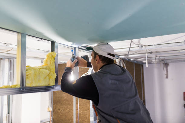 Trusted Sisco Heights, WA Insulation Contractor Experts