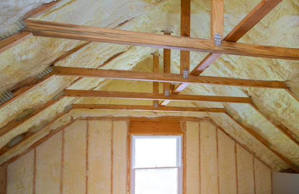 Best Cellulose Insulation in Sisco Heights, WA