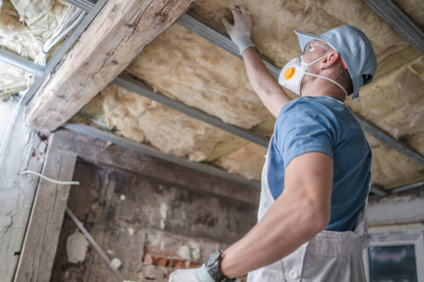 Types of Insulation We Offer in Sisco Heights, WA
